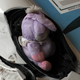 Illustration for article titled If All Else Fails, Blame Fluffy Bunny For Your Race Cars Problems